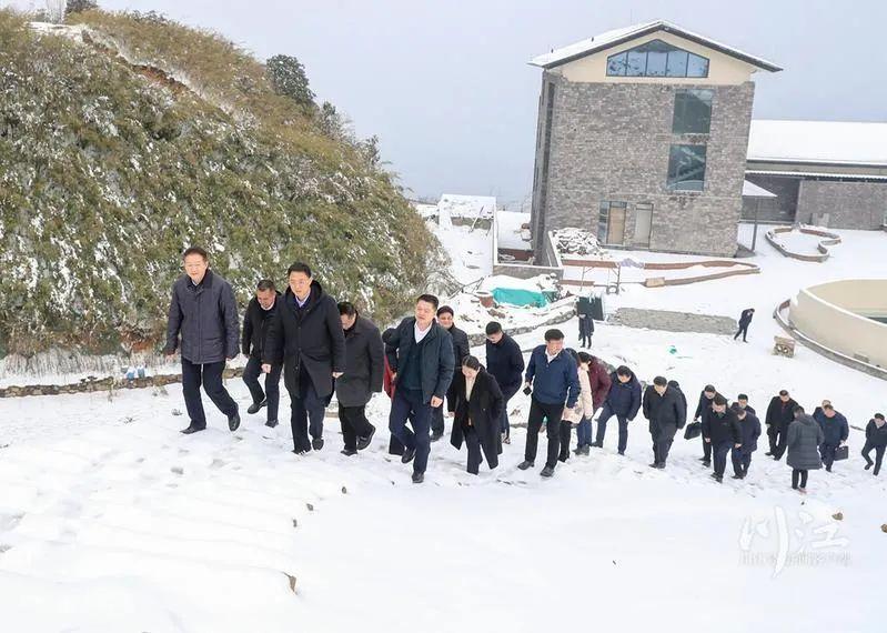 桐庐分水镇宜居家园，房价看涨，美好前景展望