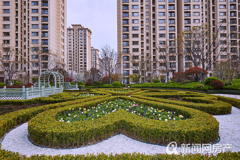 鲁信随珠花园近期房产市场行情解析