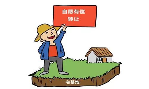 农村自留地新规解读