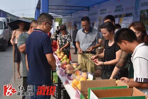 湖南省溆浦县最新房地产市场价格动态揭秘