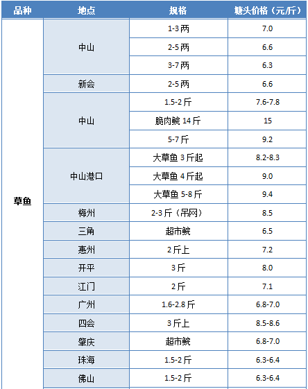 洞头地区最新招聘资讯汇总